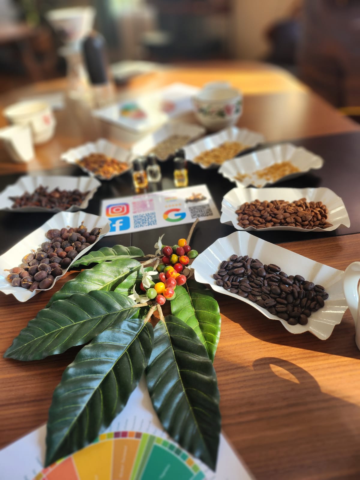 grains de café dégustation à l'aveugle Speak You